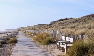 Bord de mer